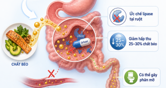 ORLISTAT – THUỐC GIẢM HẤP THU CHẤT BÉO VÀ CÁCH DÙNG HIỆU QUẢ